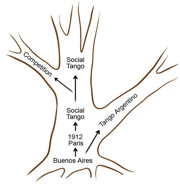 drawing of the evolutionary tree of tango